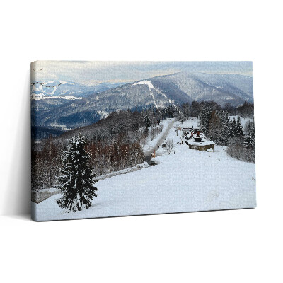 Obraz canvas 30x20 Slezské Beskydy Ustroń zima
