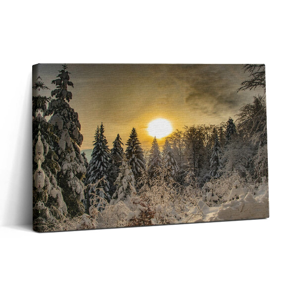 Obraz canvas 30x20 Zimní krajina Beskyd