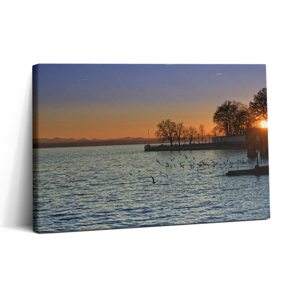 Obraz canvas 30x20 Bodamské jezero v Německu