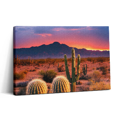 Obraz canvas 30x20 Západ slunce v poušti