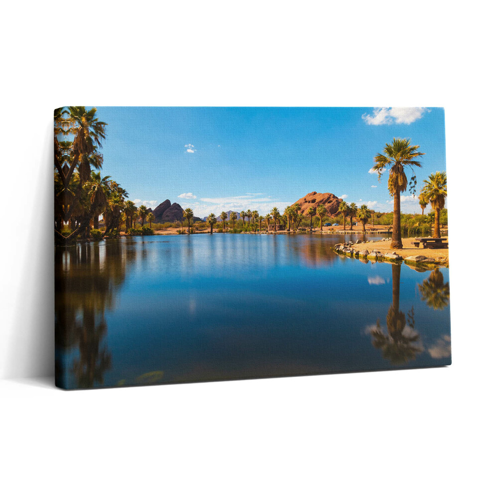 Obraz canvas 30x20 Krajina parku Papago