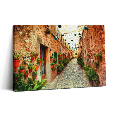 Obraz na plátně 30x20 Ulice ve vesnici Valldemossa