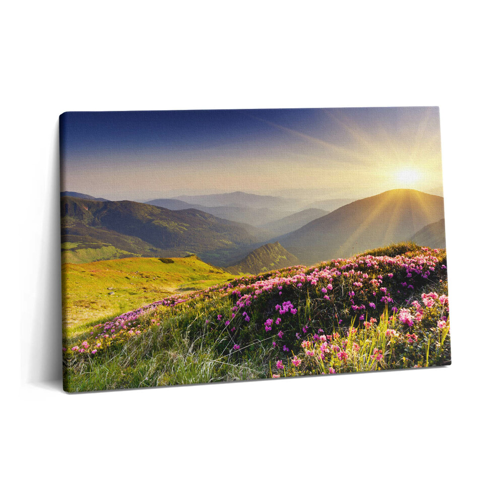 Obraz na plátně 60x40 cm Hory a louka s květinami
