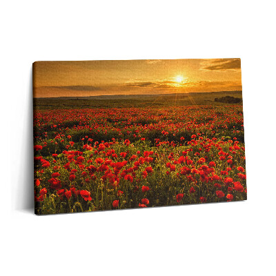 Obraz na plátně 60x40 cm Krajina s máky na louce