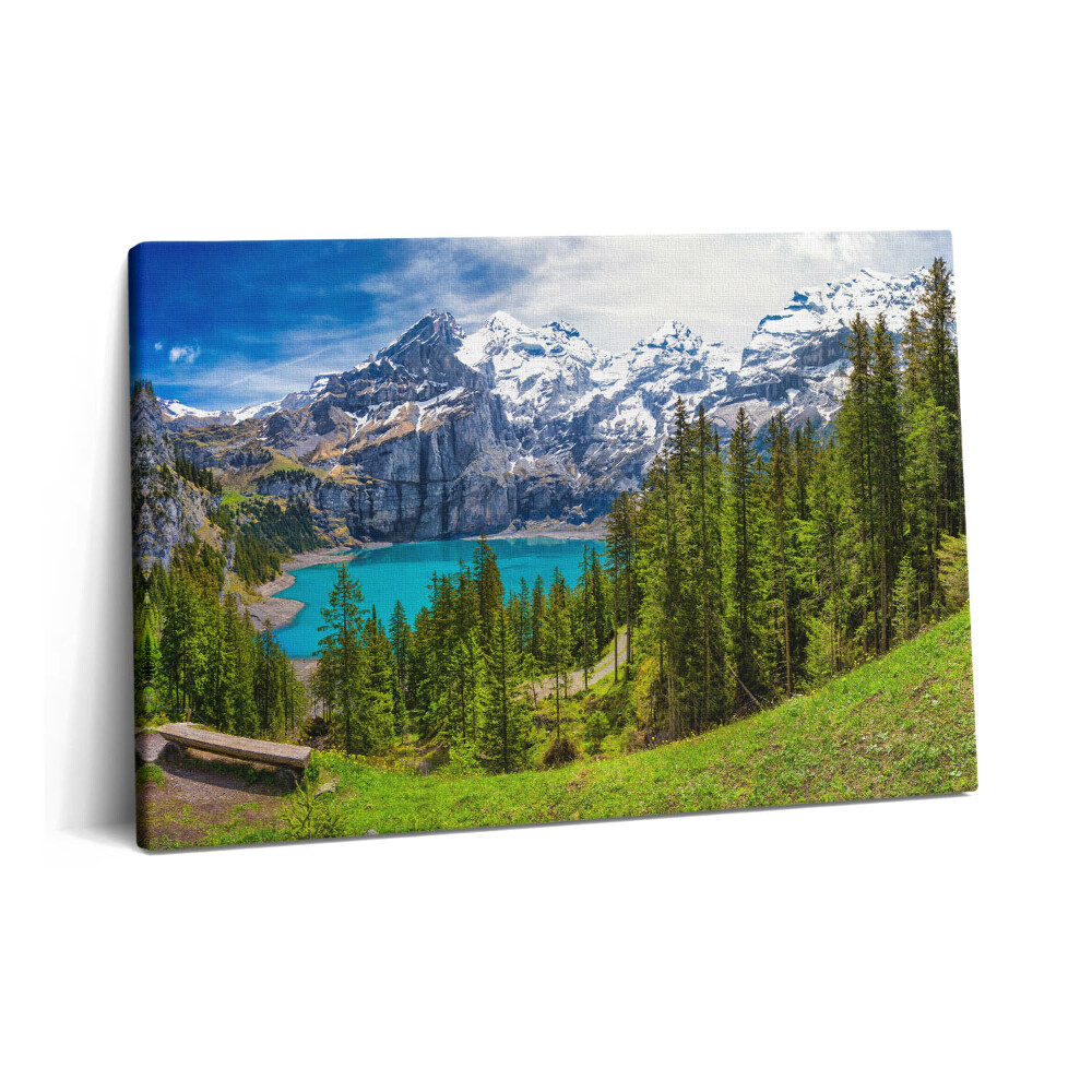 Obraz z fotografie na plátně 60x40 cm Krajina luk a hor