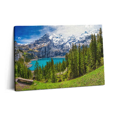 Obraz z fotografie na plátně 60x40 cm Krajina luk a hor