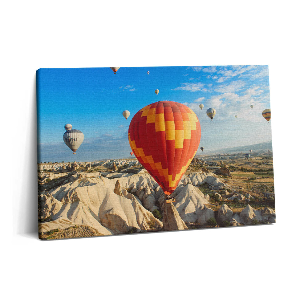 Obraz na plátně 60x40 cm Létající balóny