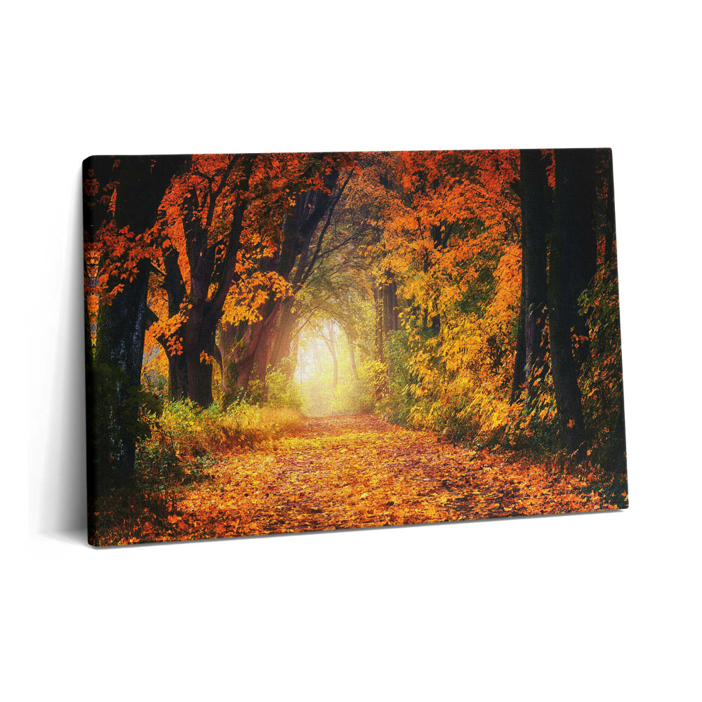 Obraz na plátně 60x40 cm Lesní tunel z podzimního listí