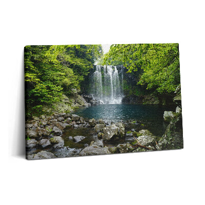 Obraz canvas 60x40 cm Vodopád a řeka mezi stromy