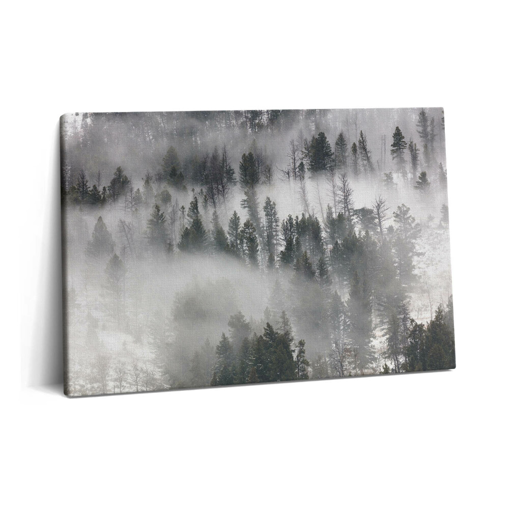 Obraz na plátně 60x40 cm Mlhavá krajina v lese