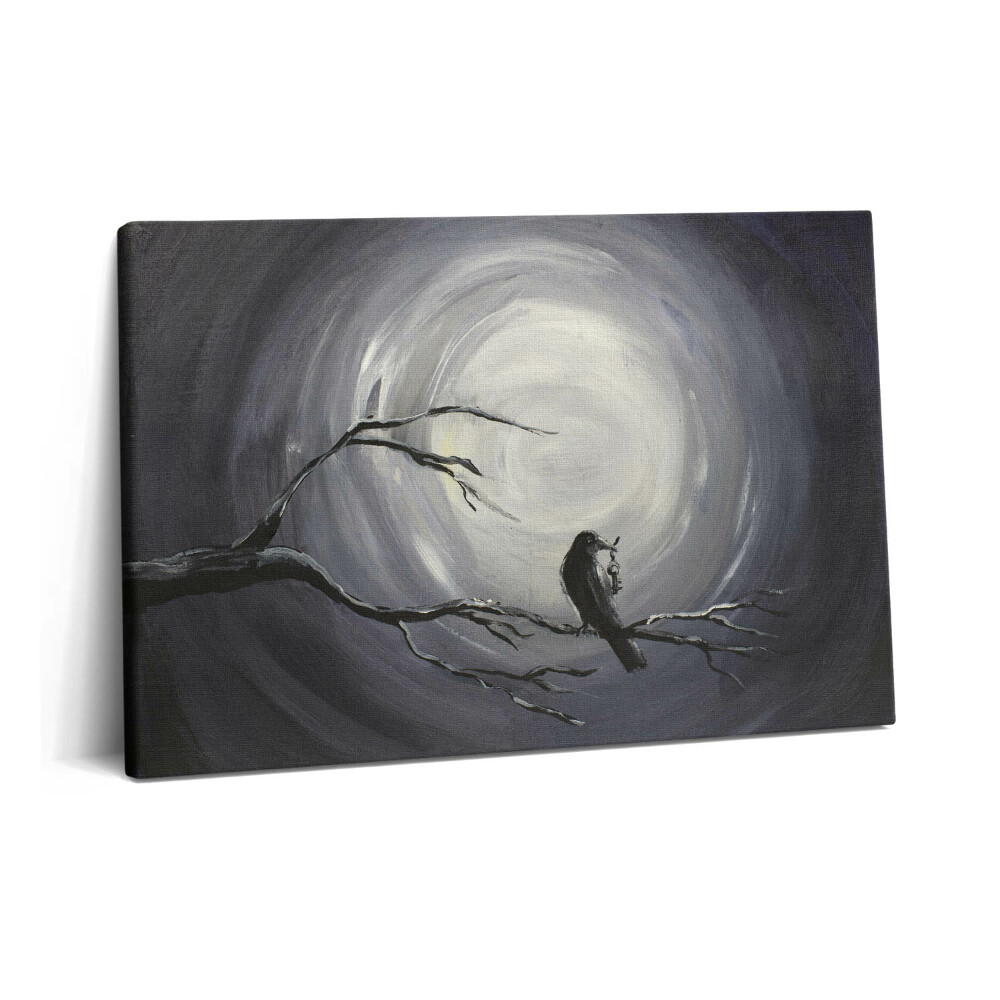 Obraz na plátně 60x40 cm Havran v měsíčním světle