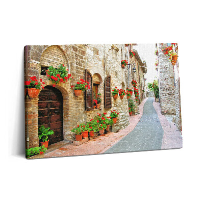Obraz na plátně 60x40 cm Malebná ulice s květinami