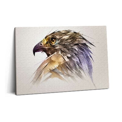 Obraz na plátně 60x40 cm Královský dravý pták