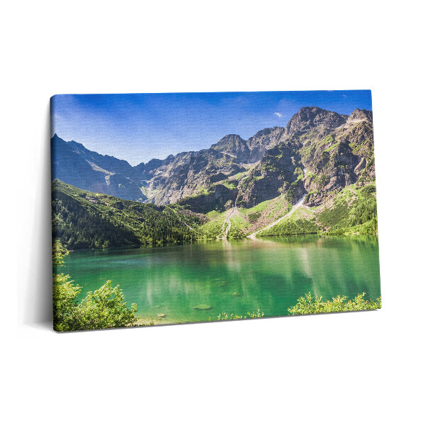 Obraz na plátně 60x40 cm Les a příroda v jezerních horách