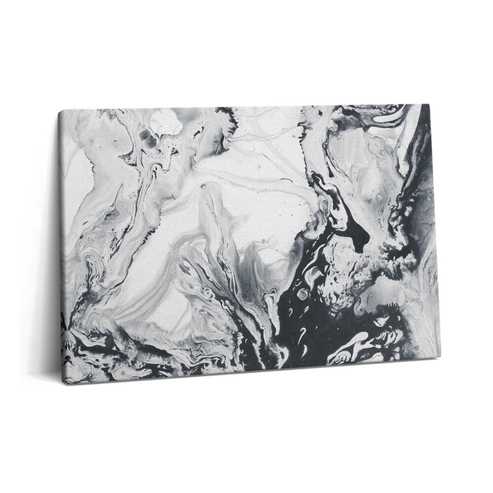 Obraz na plátně 60x40 cm Tušová abstrakce - mramorová tuš
