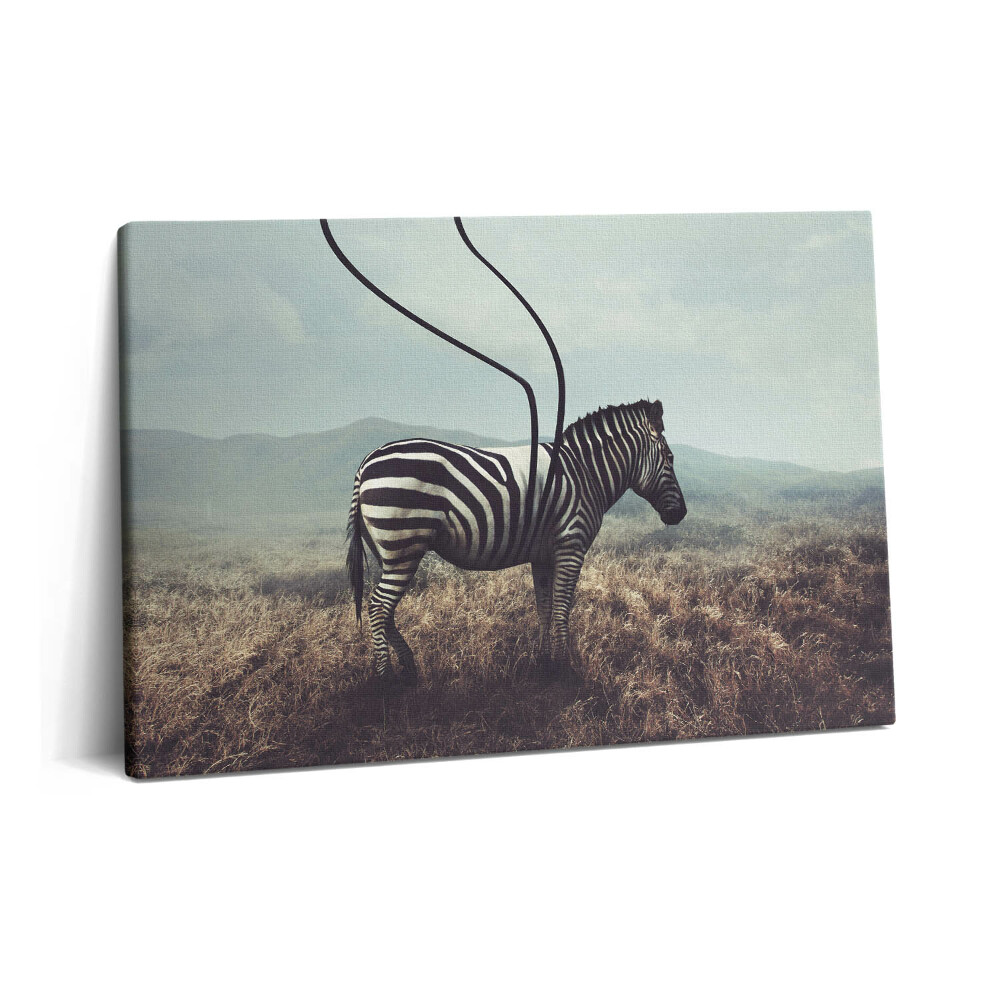 Obraz na plátně 60x40 cm Ilustrace s pruhy zebry