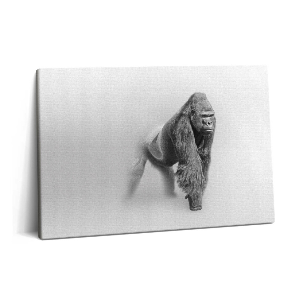 Obraz z fotografie na plátně 60x40 cm Sbírka uměleckých děl z divoké přírody