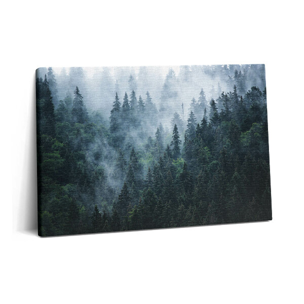 Obraz canvas 60x40 cm Mlžná horská krajina