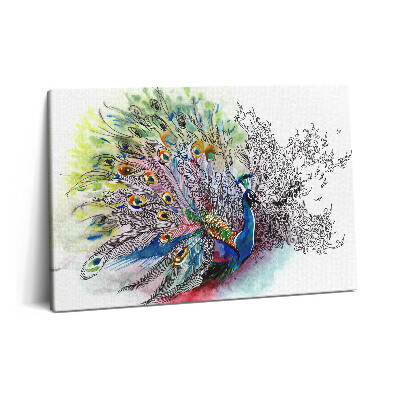 Obraz z fotografie na plátně 60x40 cm Barevný páv