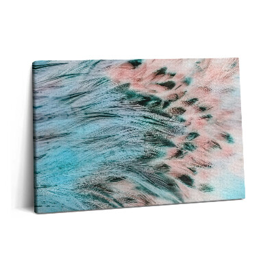 Obraz canvas 60x40 cm Barevné peří