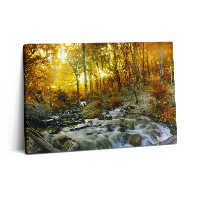 Obraz z fotografie na plátně 60x40 cm Podzimní les