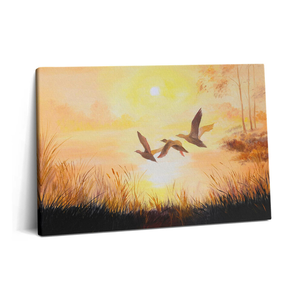 Obraz na plátně 60x40 cm Jeřábi při západu slunce