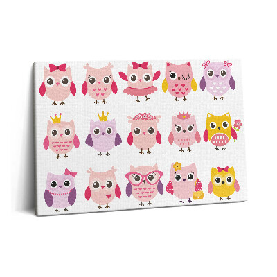 Obraz z fotografie na plátně 60x40 cm Barevná soví mláďata