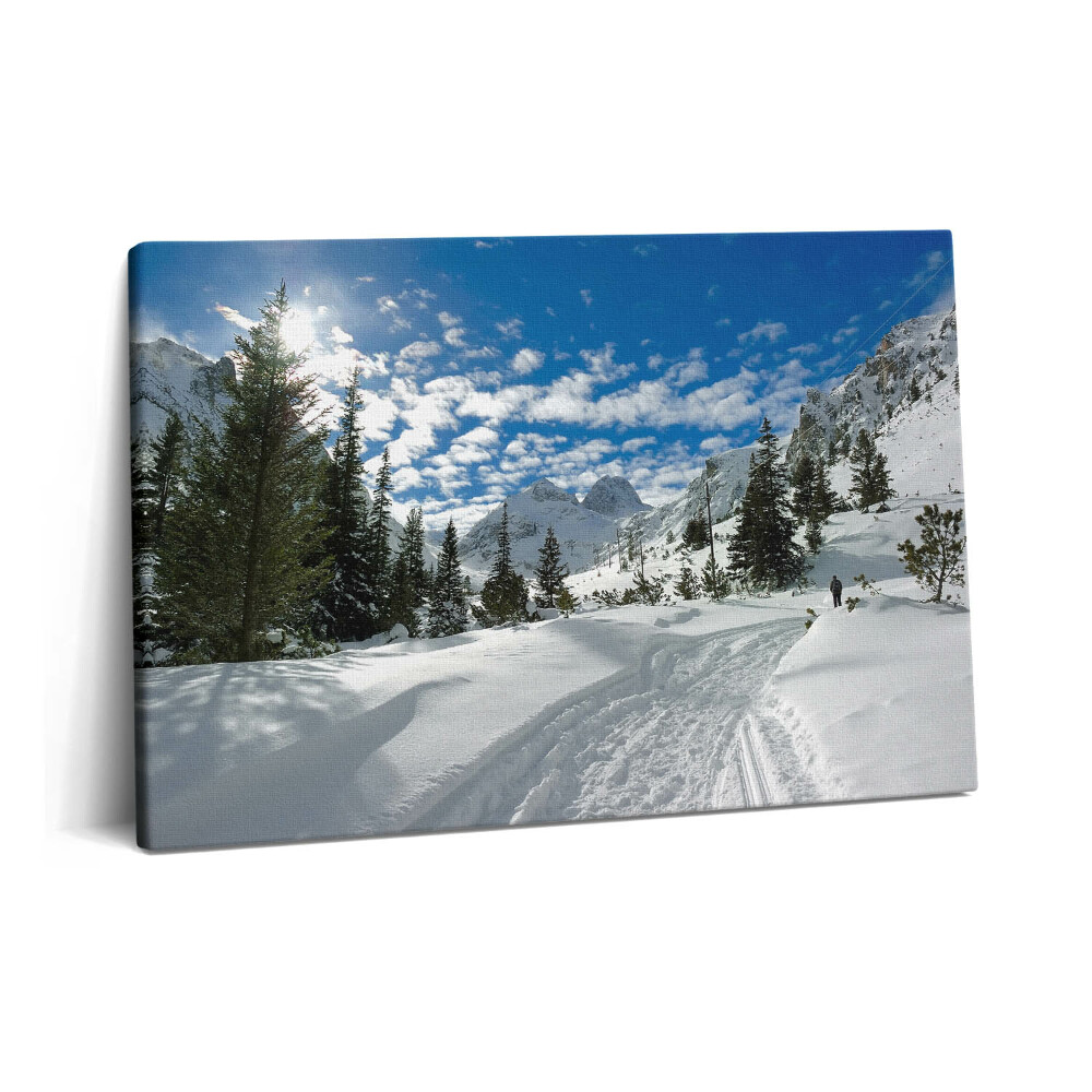 Obraz z fotografie na plátně 60x40 cm Hornatá krajina v zimě