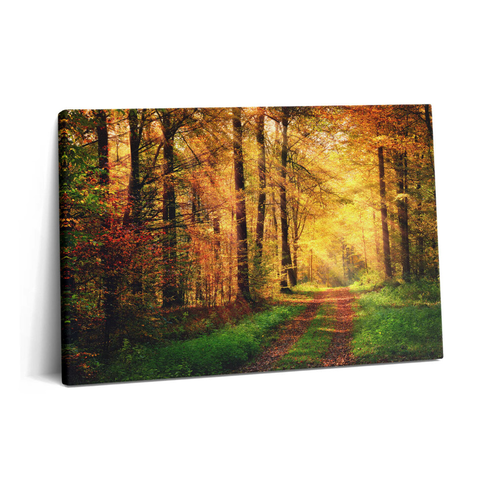 Obraz z fotografie na plátně 60x40 cm Podzimní krajina lesa