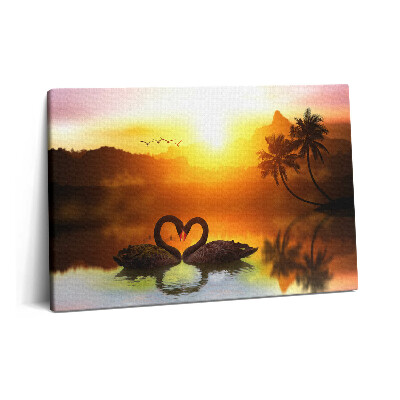 Obraz z fotografie na plátně 60x40 cm Krásná černá labuť na jezeře