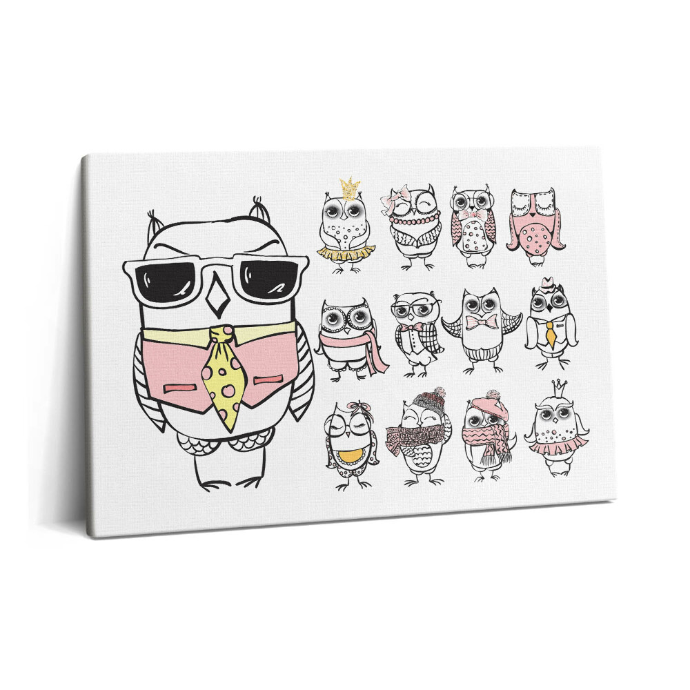 Obraz na plátně 60x40 cm Vintage plakát se sovami