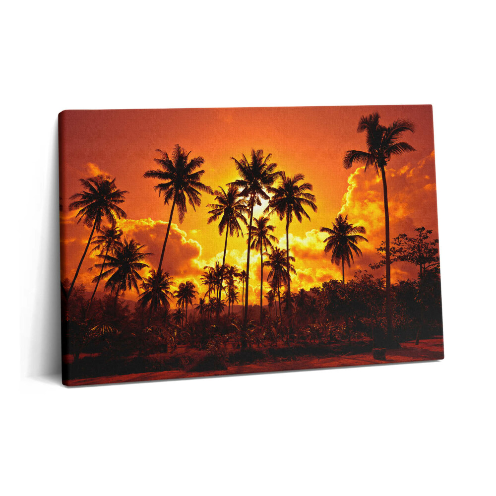 Obraz z fotografie na plátně 60x40 cm Palmy Thajsko Pláž Klong Prao