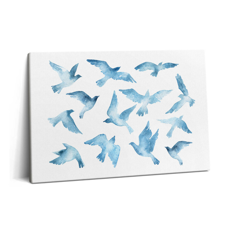 Obraz z fotografie na plátně 60x40 cm Ptáci létající ve vzduchu