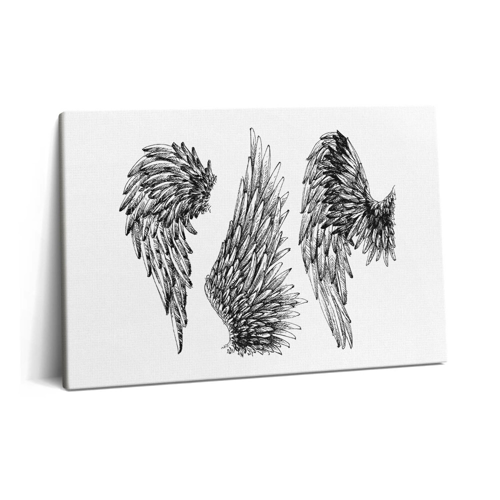 Obraz z fotografie na plátně 60x40 cm Křídla anděla