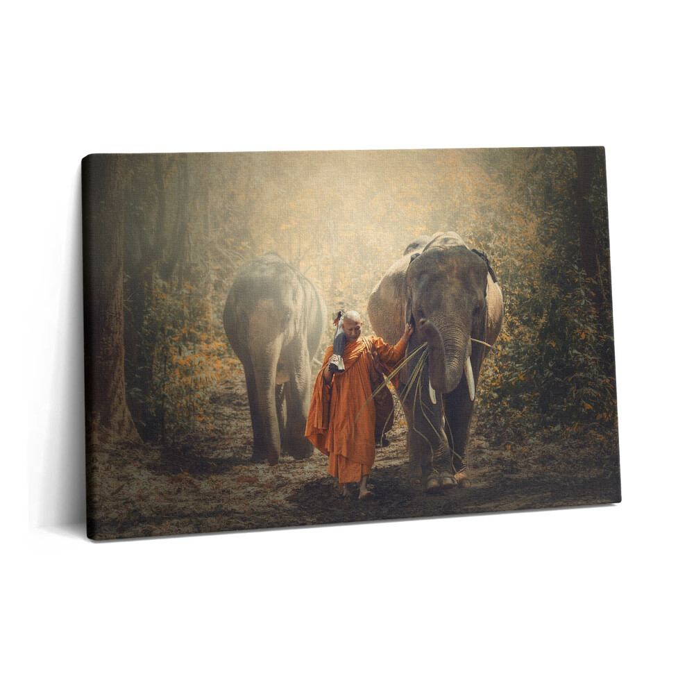 Obraz na plátně 60x40 cm Mnich a sloni