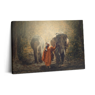 Obraz na plátně 60x40 cm Mnich a sloni