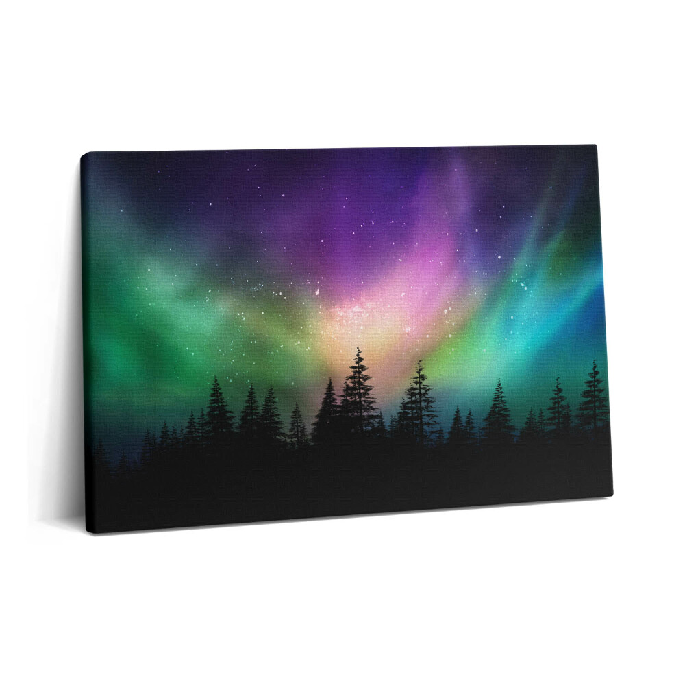 Obraz z fotografie na plátně 60x40 cm Polární záře