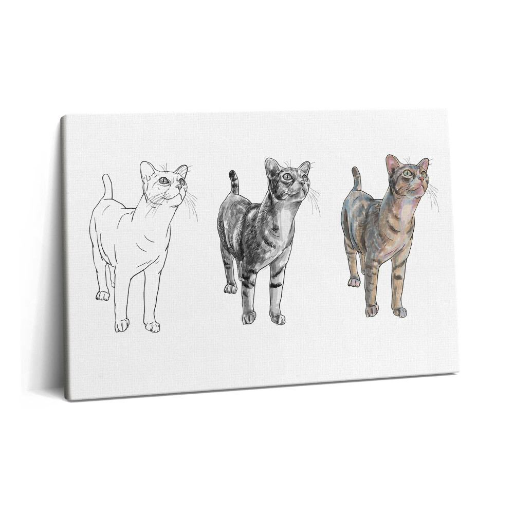 Obraz na plátně 60x40 cm Ilustrace roztomilé zvědavé kočky