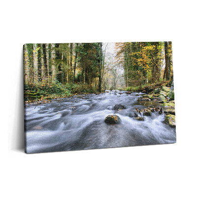 Obraz z fotografie na plátně 60x40 cm Horský potok