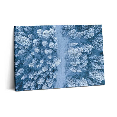 Obraz z fotografie na plátně 60x40 cm Les z ptačí perspektivy. Drony