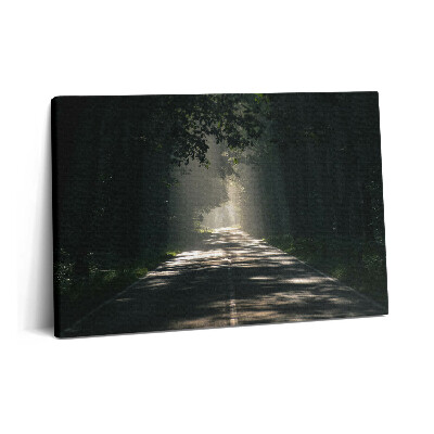 Obraz canvas 60x40 cm Lesní cesta a pruhy slunečního světla