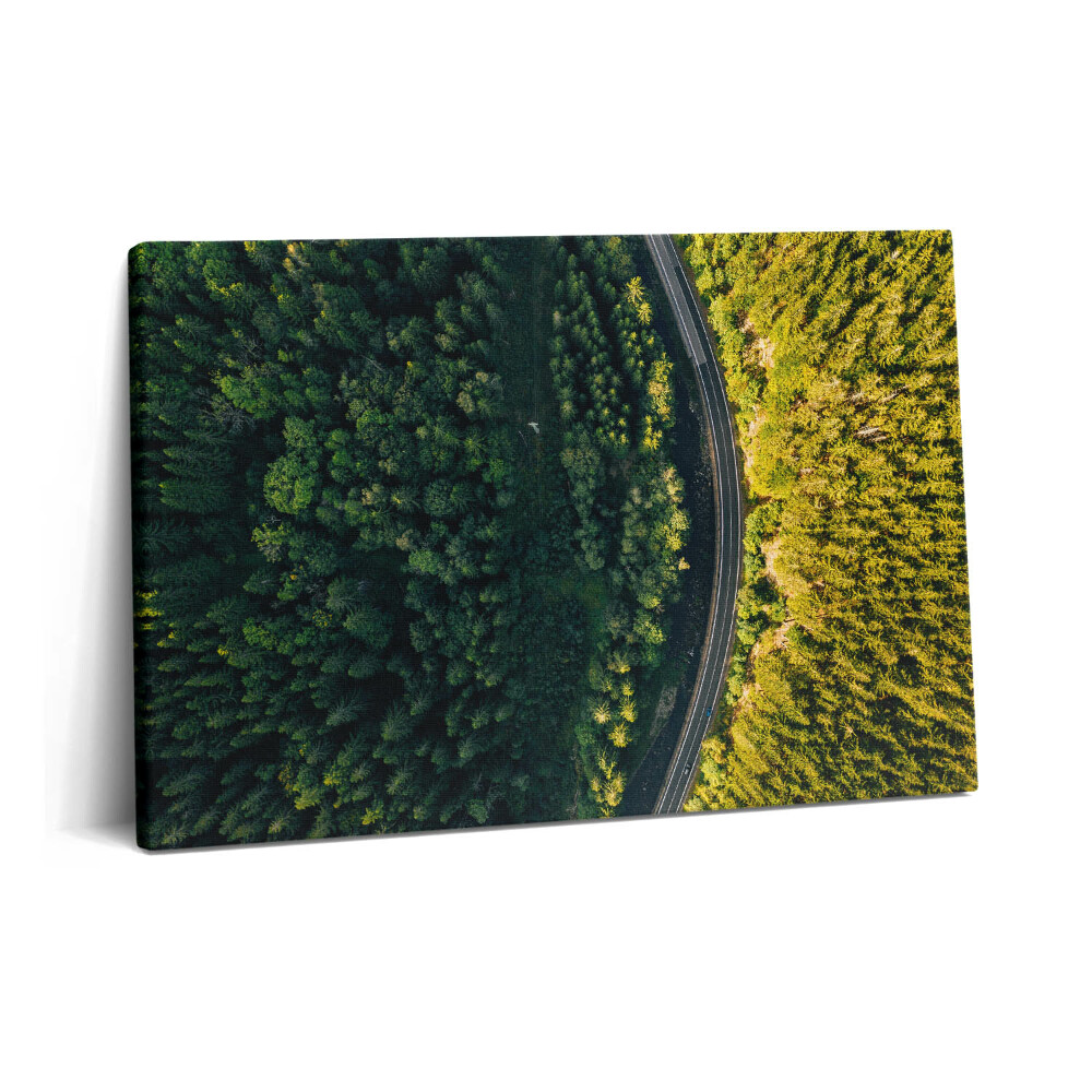 Obraz canvas 60x40 cm Les z dronu - Sněžná hora