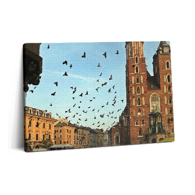 Obraz canvas 60x40 cm Holubi v Krakově
