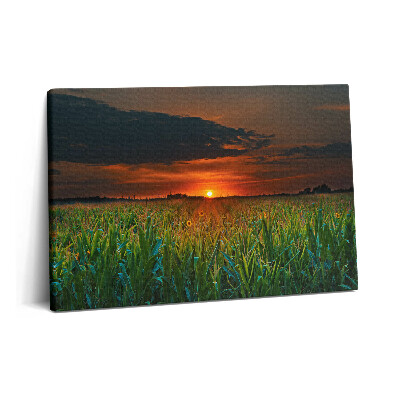 Obraz canvas 60x40 cm Slunečnice na louce