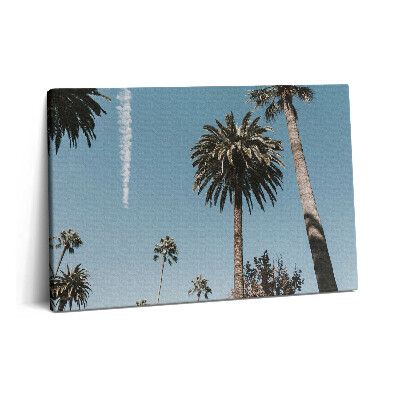 Obraz z fotografie na plátně 60x40 cm Palmy v Los Angeles