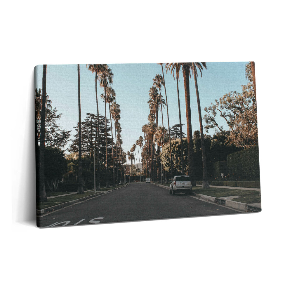 Obraz na plátně 60x40 cm Vozidlo na silnici mezi stromy