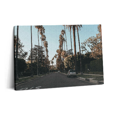 Obraz na plátně 60x40 cm Vozidlo na silnici mezi stromy