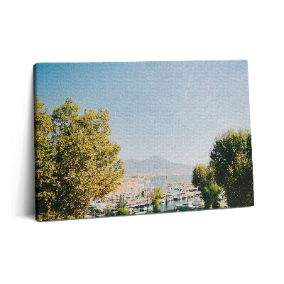 Obraz na plátně 60x40 cm Zelené stromy v Neapoli