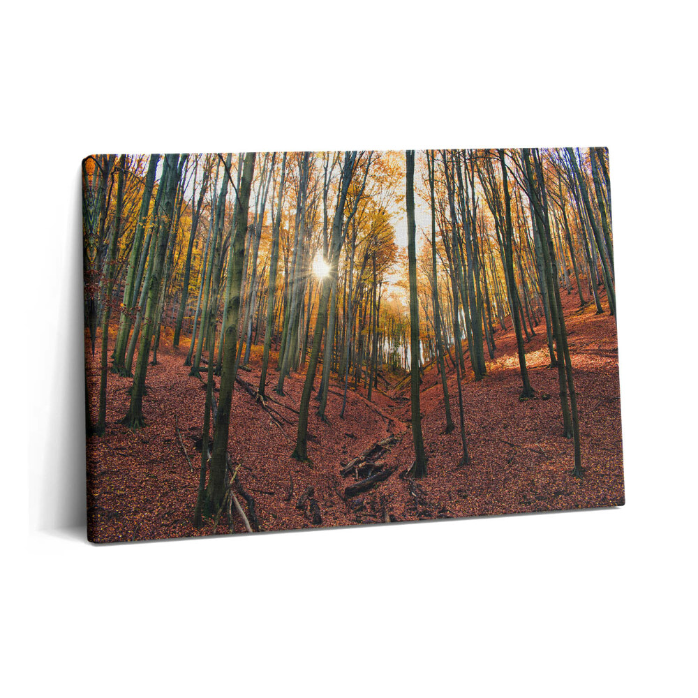 Obraz na plátně 60x40 cm Západ slunce a stromy