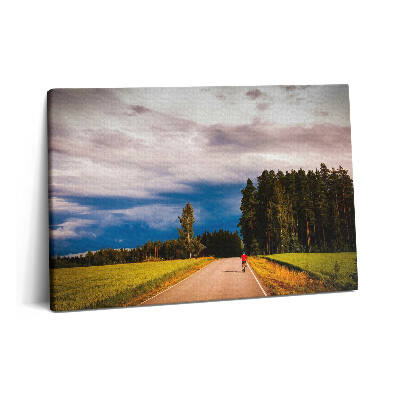 Obraz na plátně 60x40 cm Uklizená cyklostezka